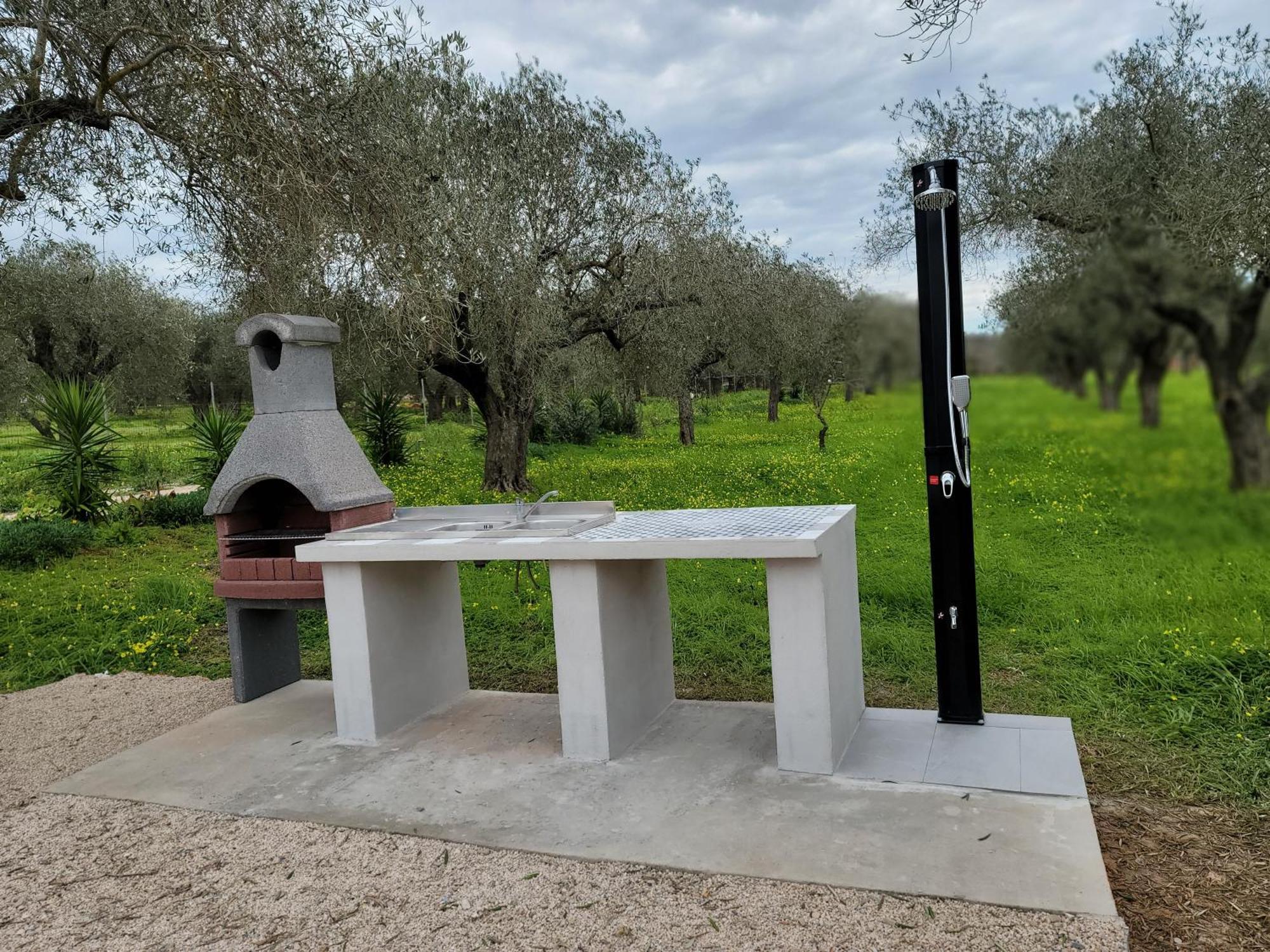Bingo Bed & Breakfast Alghero