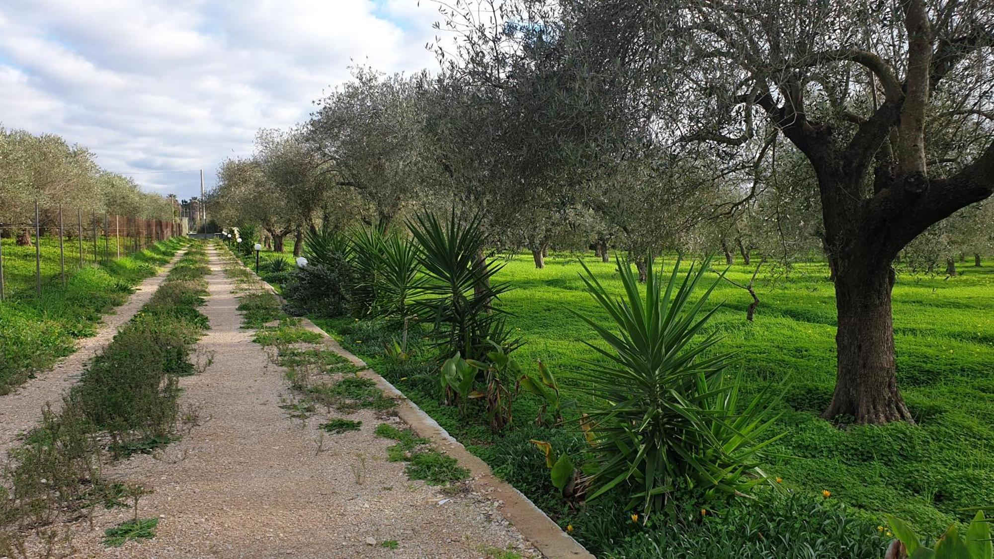 Bingo Bed & Breakfast Alghero